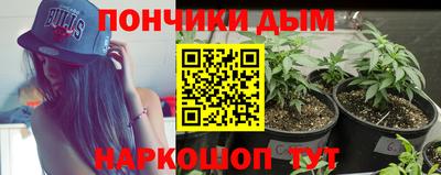 стаф Чебоксары