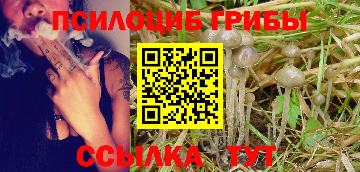 Псилоцибиновые грибы Psilocybe  Галлюциногенные грибы Cubensis  Вход с VPN  Богородицк 