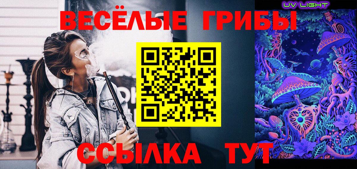 Псилоцибиновые грибы Cubensis Богородицк