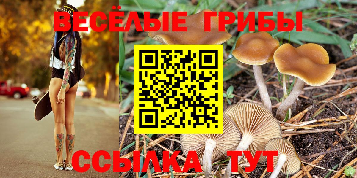 Богородицк  Кокаин  Codein  Мефедрон   ГАШИШ  Вход с VPN  Гашиш  Марихуана 